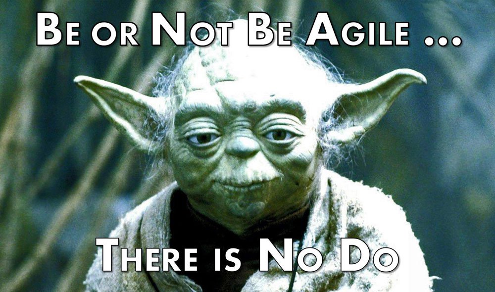 The Agile Project Manager Yoda